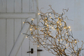 Ljusslinga Basic 100 LED 9,9 m Stemning
